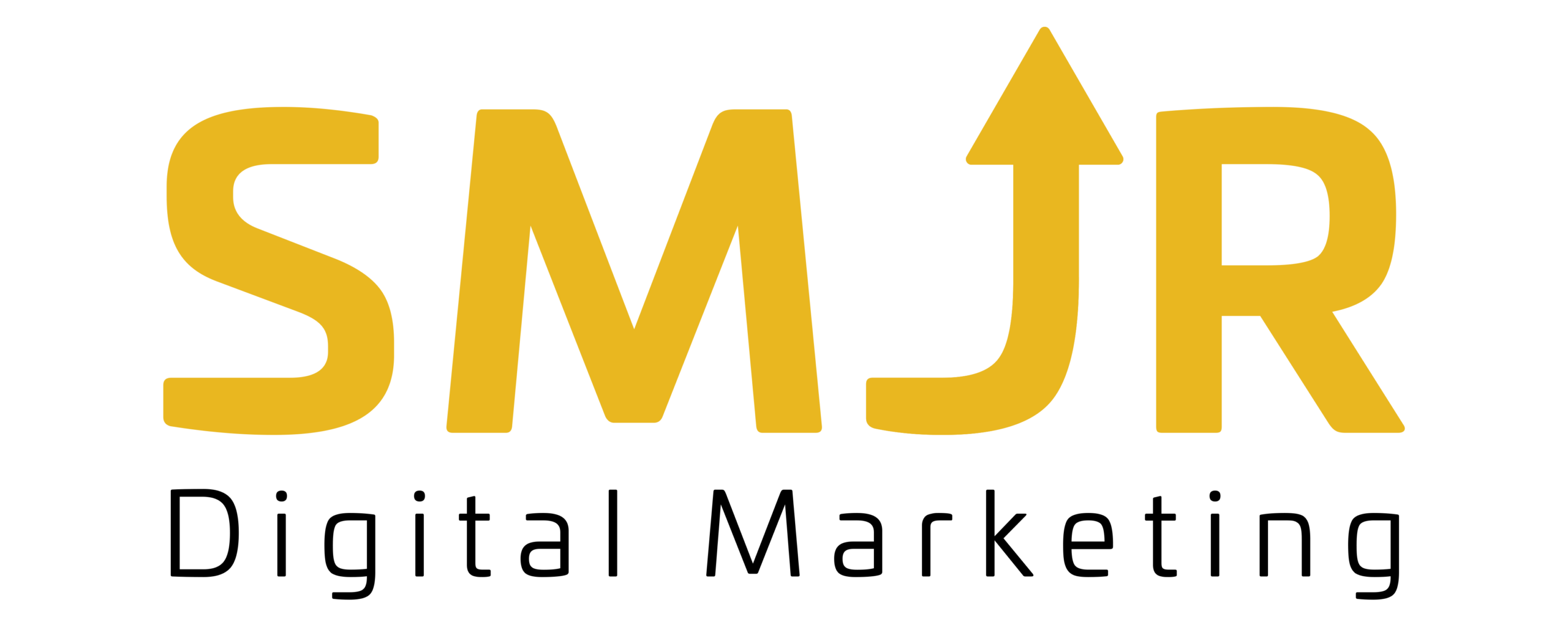 دیجیتال مارکتینگ SMJR
